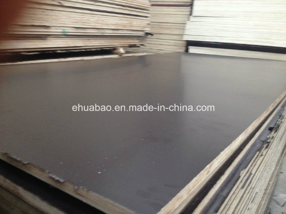 Birch Shuttering Film Faced Plywood/Marine Plywood with Logo (HB004)