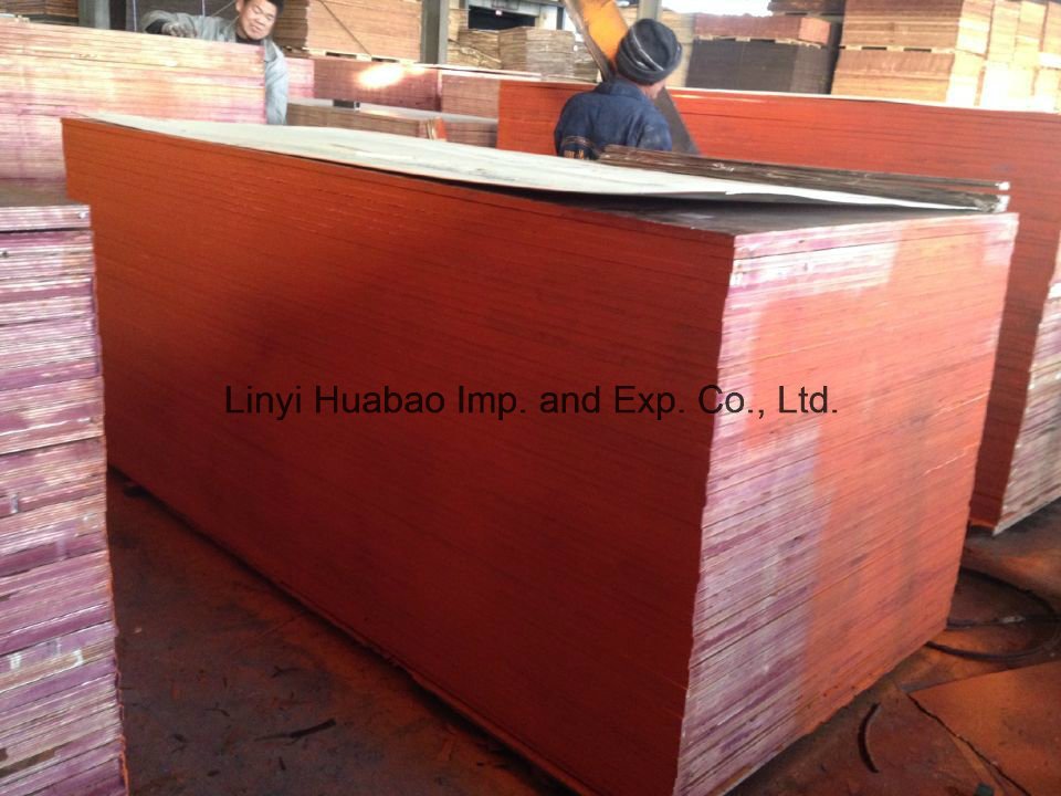 Dully Birch Core Plywood 20*610*2500mm to Israle Port