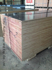 Poplar/ Birch/Hardwood Core Construction Plywood and Formwork Plywood (HB208)