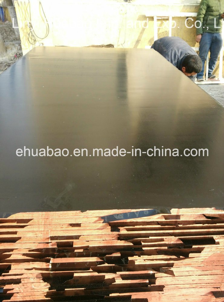 Birch Core Film Faced Plywood Phenolic Glue