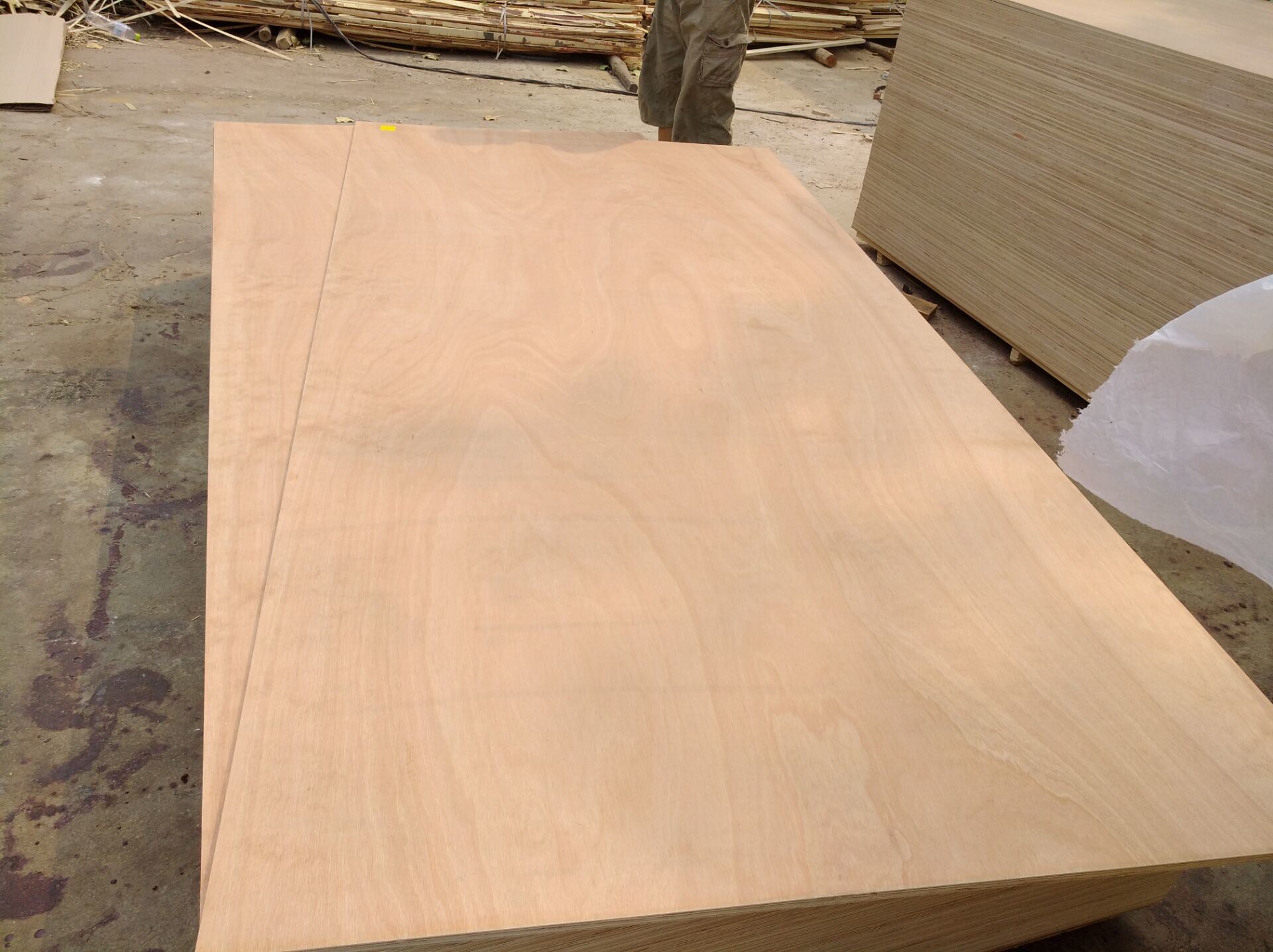 Bb Grade Laminated Furniture Plywood