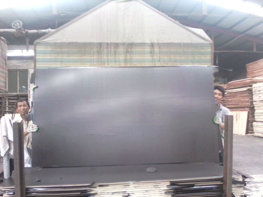 18mm Brown Film Faced Plywoods for Middle East Markets