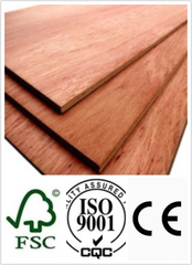 18mm Laminated Plywood with Poplar Core BB/CC Grade