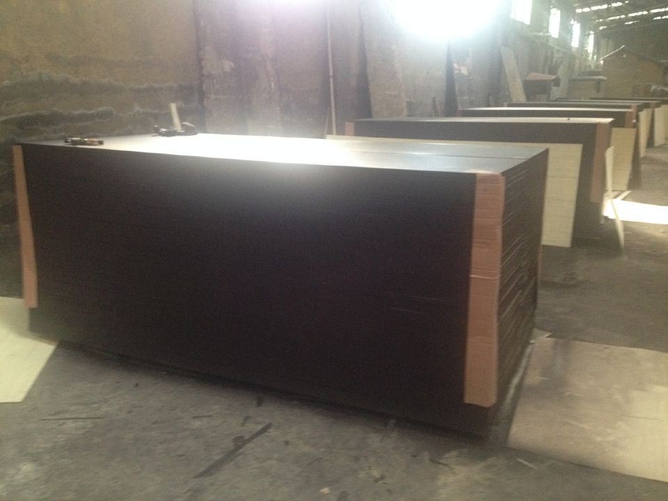 Birch Core Film Faced Plywood Made in China