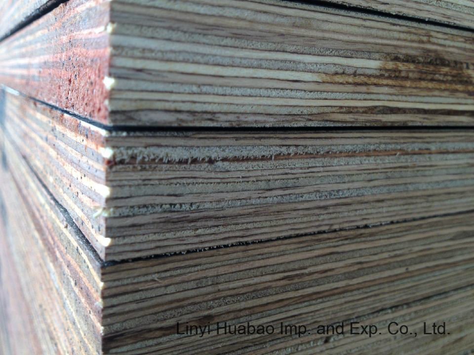 18mm Black Film Poplar Core Marine Plywood to Dubai Market