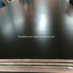 Korindo Film Faced Plywood Board From Linyi Huabao