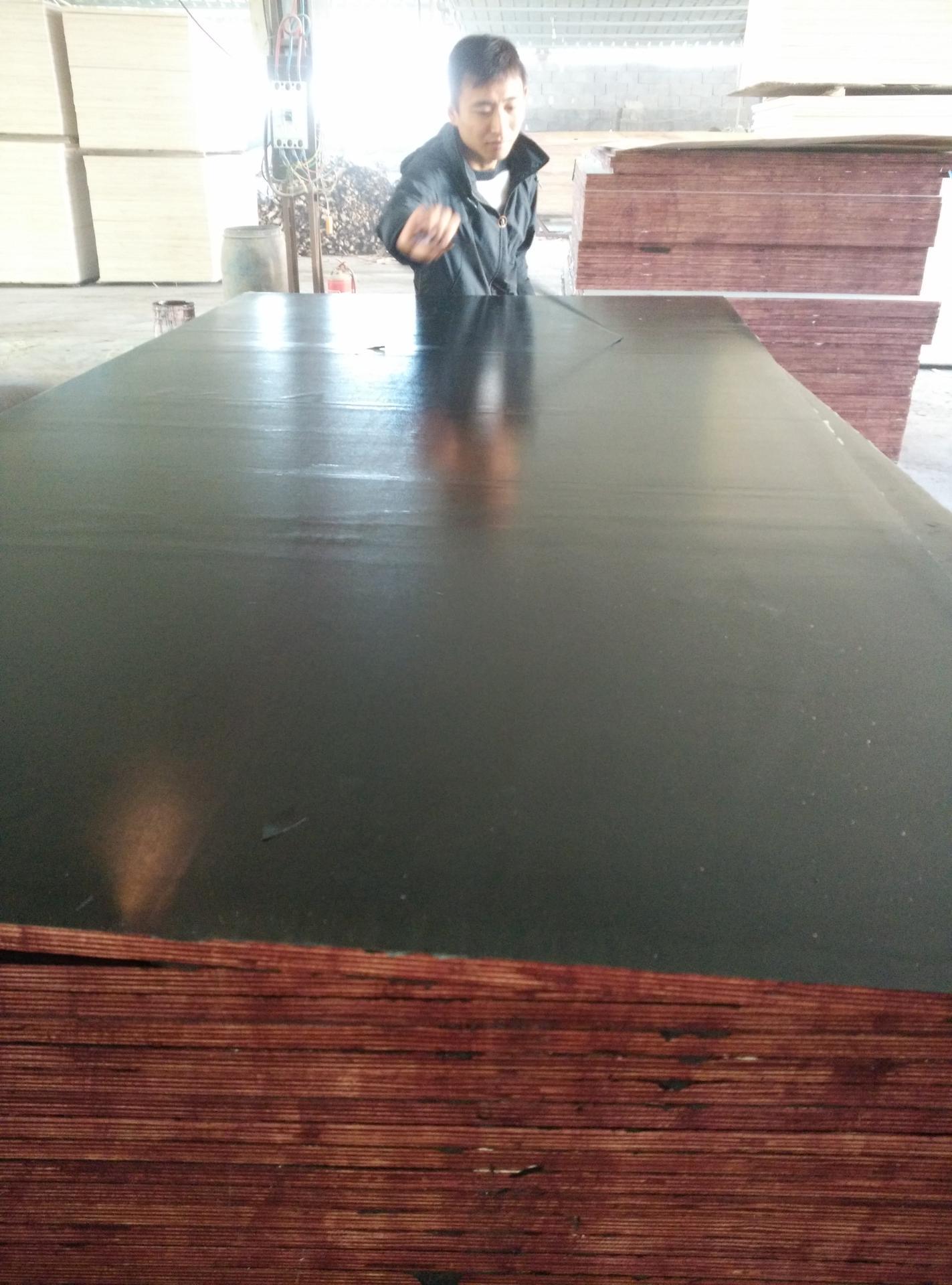 Chinese Film Faced Plywood for Concrete Formwork