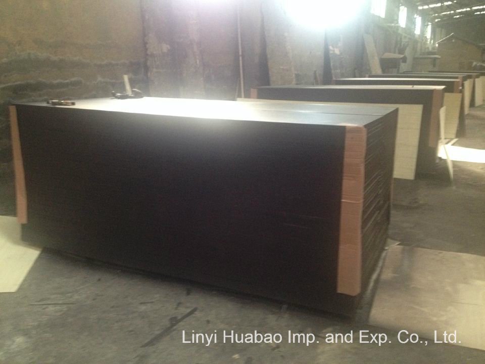 Birch Core Plywood for Formwork