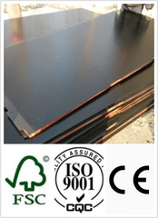 Chinese Film Faced Plywood with Poplar Core WBP Glue (HBF058)