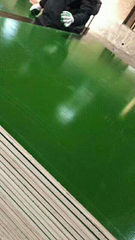 PVC Plastic Film Faced Plywood for Shuttering Construction Usages