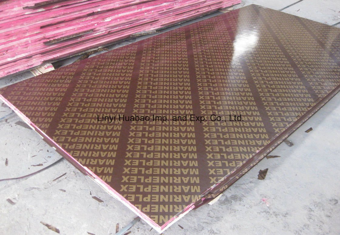 Poplar Core Waterproof Film Faced Plywood for Construction