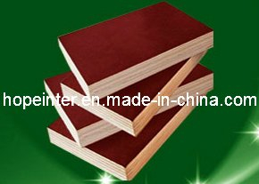 Sell Shuttering Film Faced Plywood/Marine Plywood with Logo