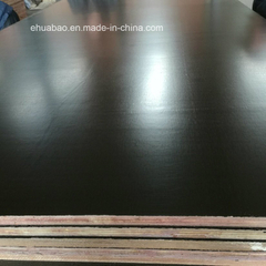 Film Faced Plywood Black Film Poplar Core Made in Qingdao