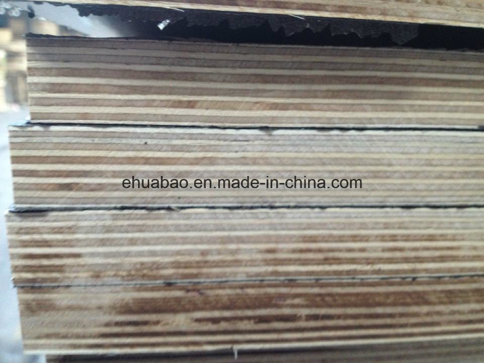 Birch Plywood WBP Glue Brown Film