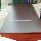 21mm Concrete Shuttering Plywood Poplar Core WBP Glue
