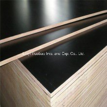 Poplar Core Brown Film Faced Shuttering Plywood for Formwork