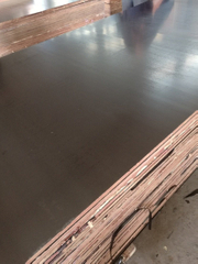 18mm Formply Plywood Combined Core Phenolic Glue
