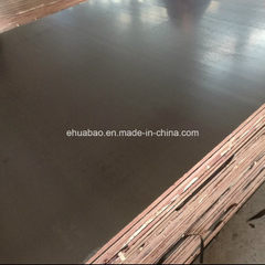 21mm Korindo Quality of Film Faced Plywood Board in China