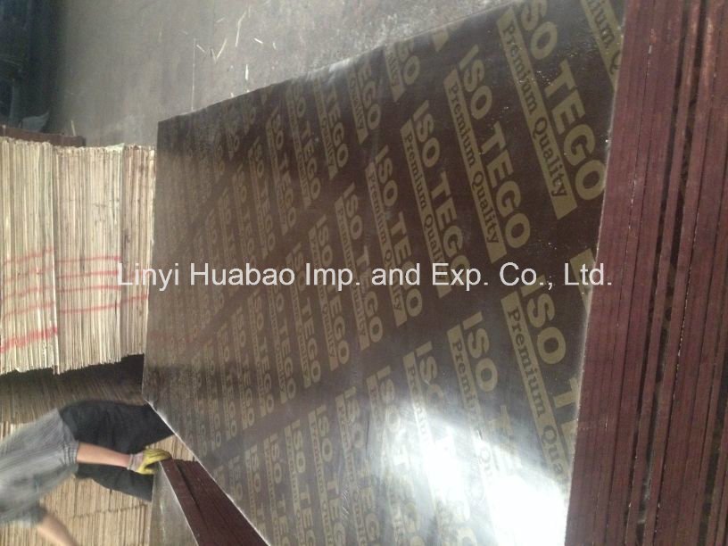 20mm*610*2500 Brown Film Faced Plywood Poplar Core WBP Glue