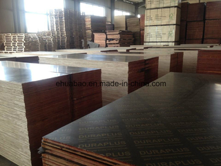 Korinplex Film Faced Plywood Poplar Core Brown Film WBP Glue