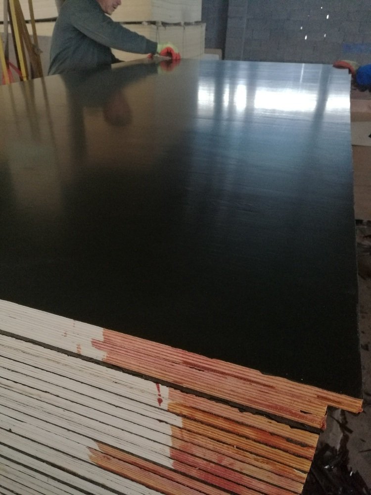 15mm Marine Plywood Black Film Poplar Core