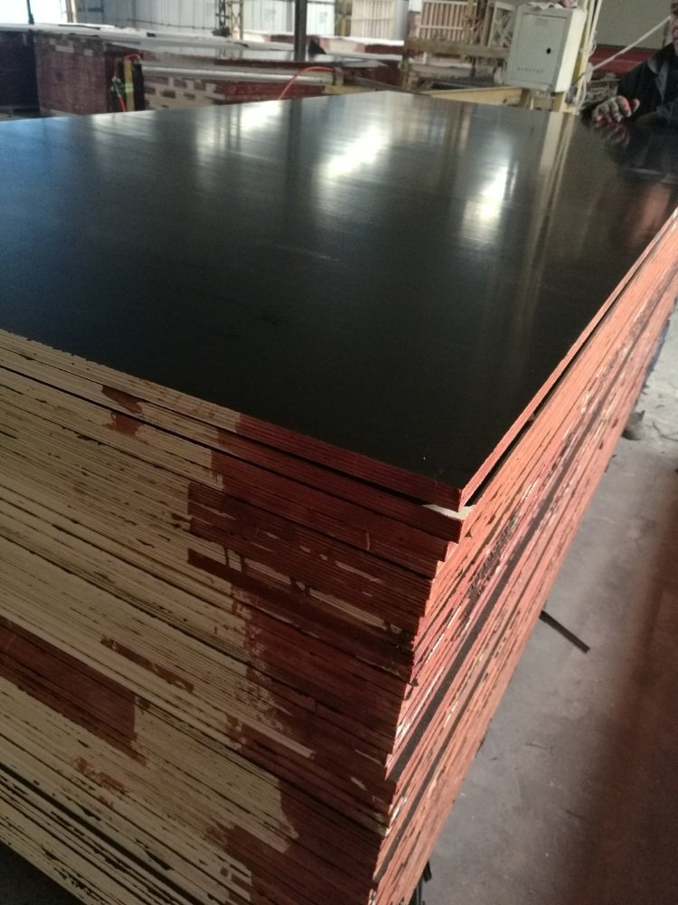 18mm Hardwood Core Film Faced Plywood for Constructions