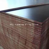 Marine Plywood Brown Film Poplar Core WBP Glue First Grade