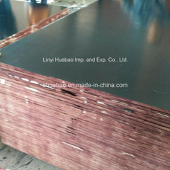 Imported Film Film Faced Plywood