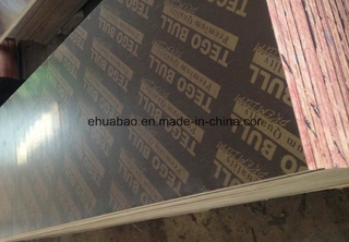 Premium Tego Film Faced Plywood Combined Core Phenolic Glue