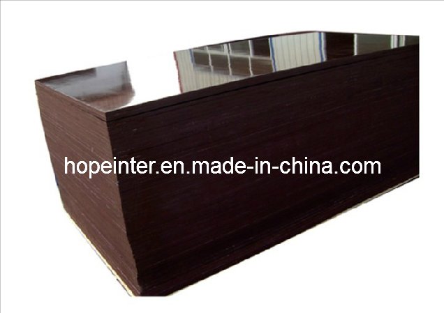 Waterproof Film Faced Plywood Poplar Core for Constructions
