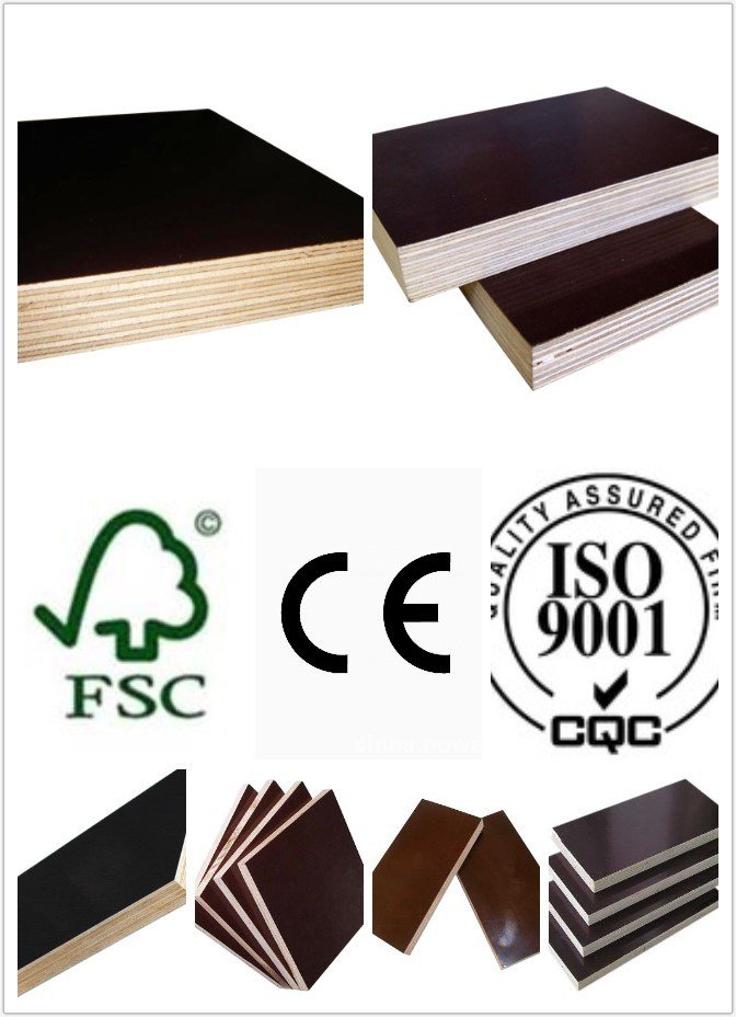 AAA Grade Poplar Shuttering Film Faced Plywood for Constructions (HB123)