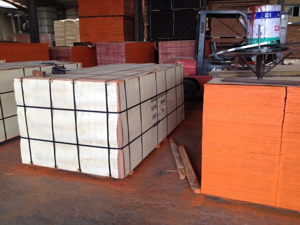 F17 Plywood for Formwork with Dynea 962 Glue