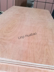 15mm Bed Slat Plywood Poplar Core E1 Glue Okoume Face/Back