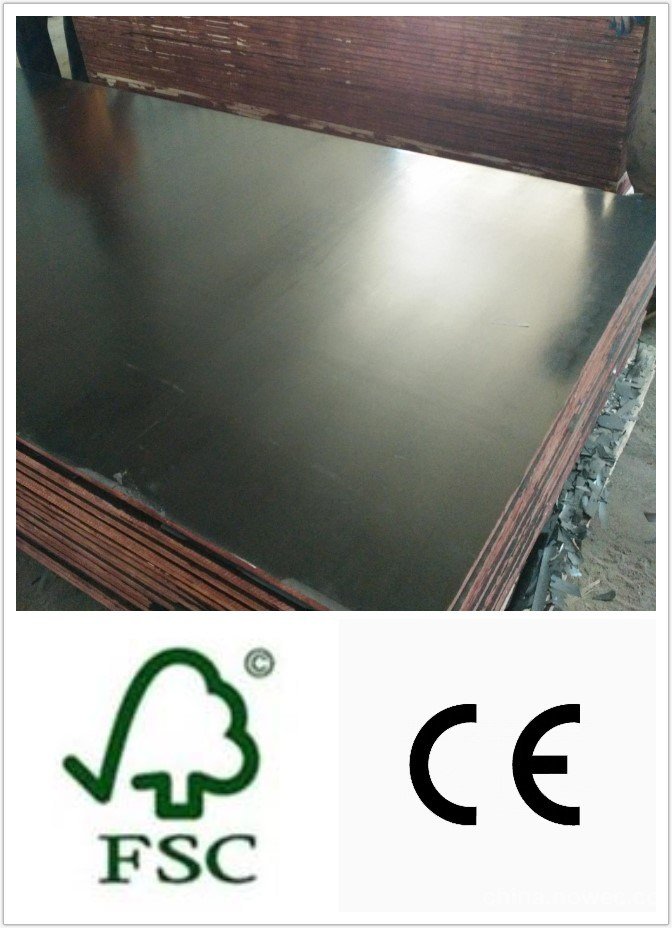 Film Faced Plywood Panel 1250*2500mm Size