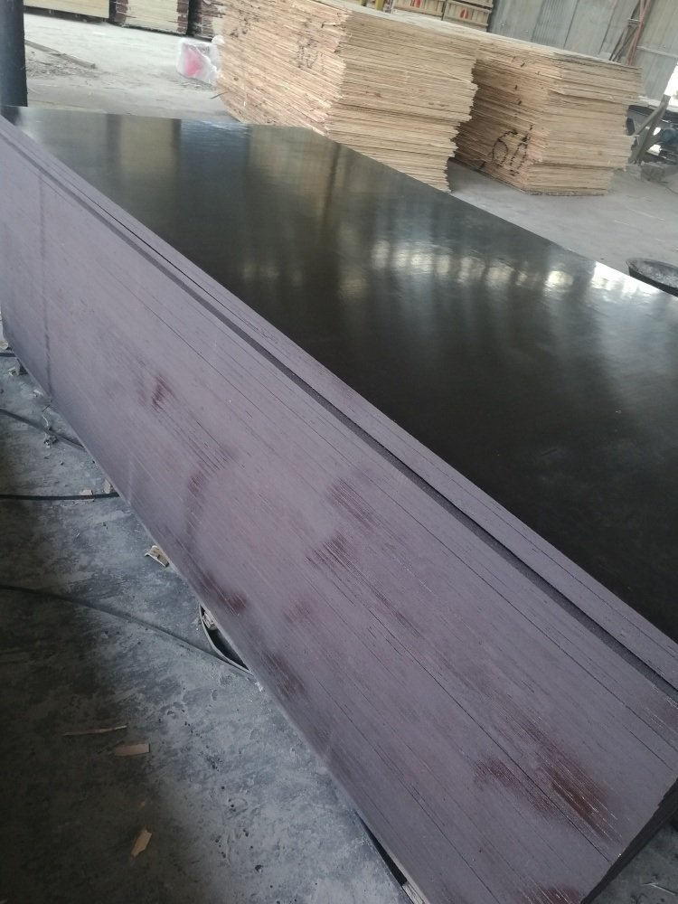 Marine Plex Film Faced Plywood for Constructions