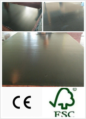 Chinese Local Black Film Faced Plywood Poplar Core (HB116)