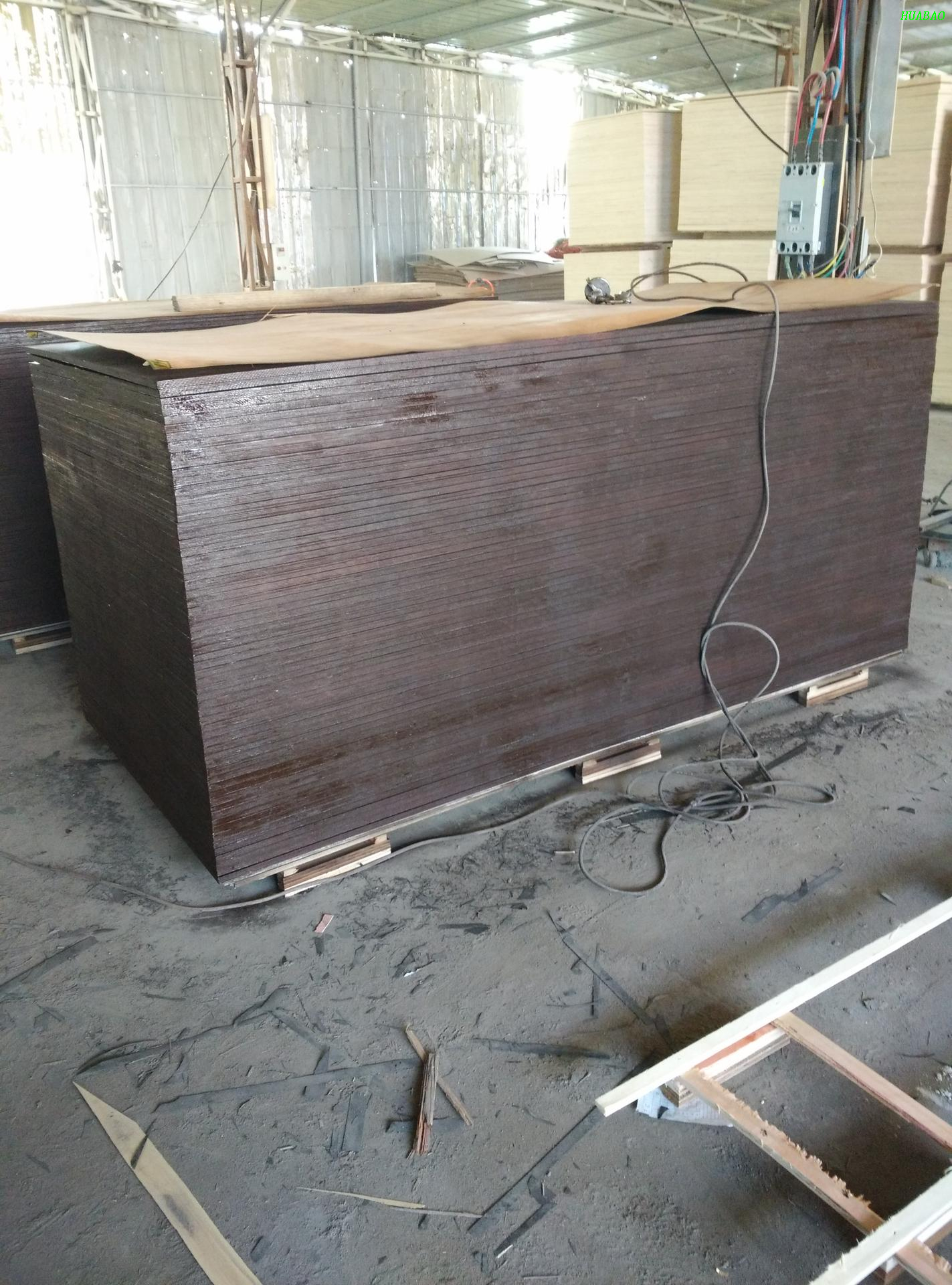 Poplar Core Construction Plywood with Coc/Pvoc Certificate