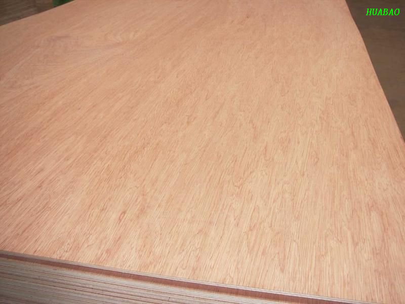 Bintangor Plywood / Okoume Plywood (HL005) used For Furniture