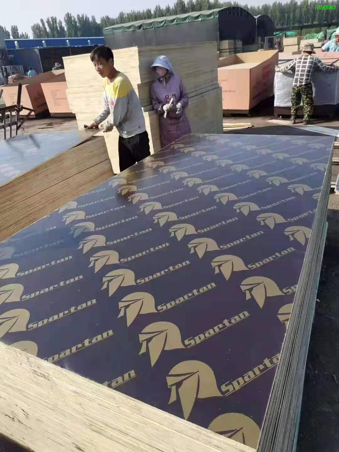 18mm Korinplex Film Faced Plywood For Concrete